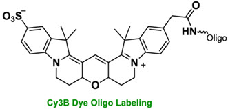 Bio-Synthesis Inc. Oligo Structure